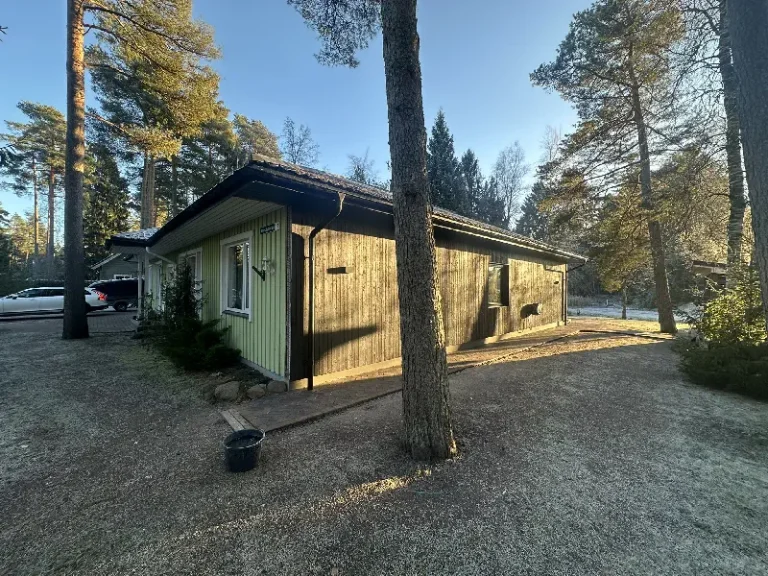 Puitfassaadi paneelide lähemalt, Kodukandi Ehitus